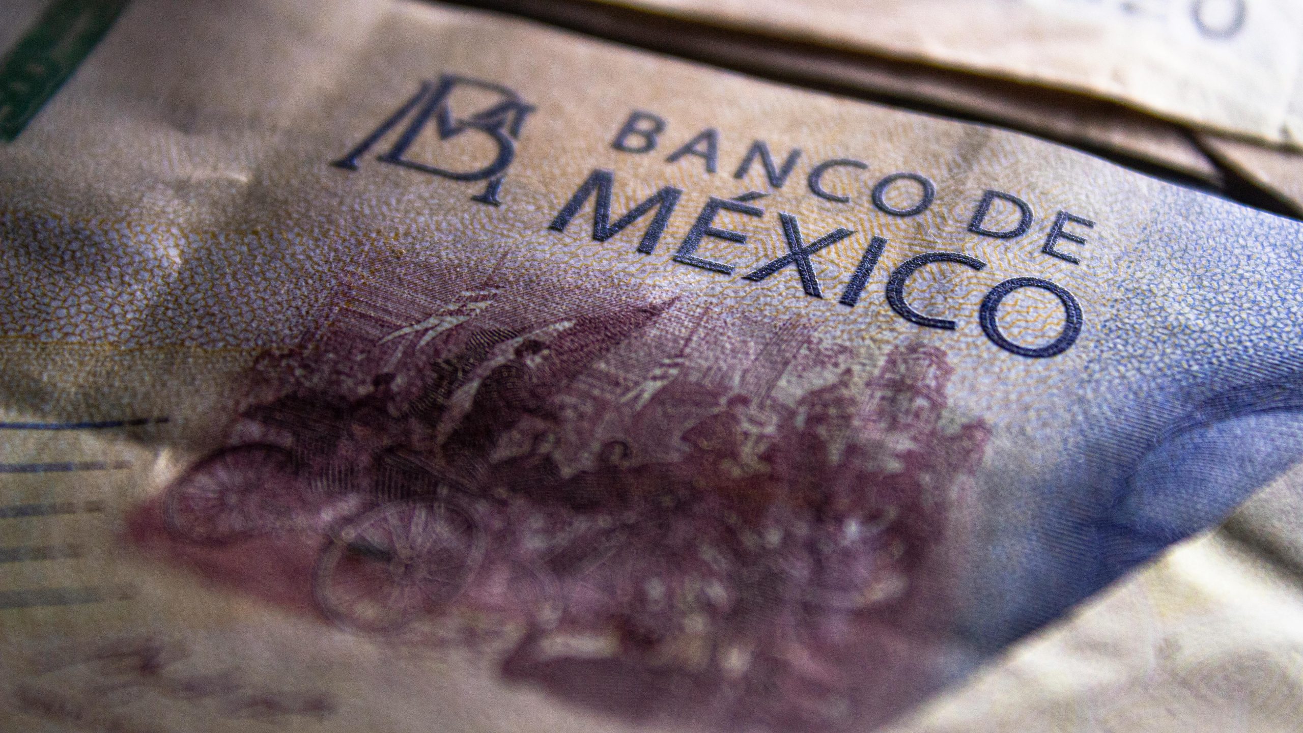 ¿Necesitas dinero urgente? Descubre cómo los préstamos en línea pueden ser tu salvación (sin morir en el intento)